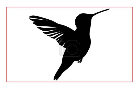 Hummingbird silhouette, Humming bird bird flying in open air