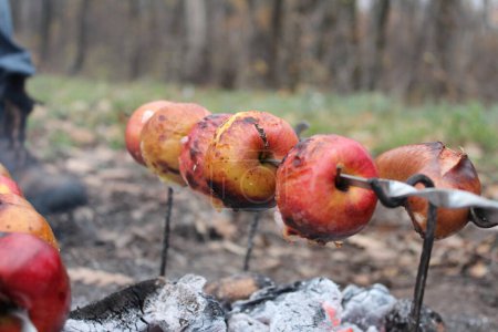 Foto de Manzanas a la parrilla en el bosque - Imagen libre de derechos