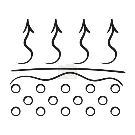 Ilustración de Icono de línea de elasticidad de la piel. Capas de piel con flechas hacia arriba. Vector - Imagen libre de derechos