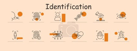 Identification set icon. Fingerprint, biometric, DNA, verification, security, authentication, identity, recognition.
