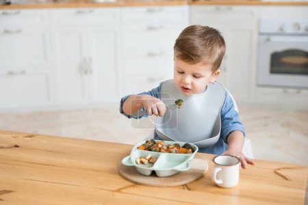 Téléchargez les photos : Cute caucasian toddler boy eats broccoli on his own using a fork. Self-feeding concept. BLW. The child eats healthy vegetables with meat on a high chair in the cozy kitchen. Copy space, Mock up. - en image libre de droit
