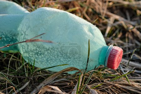 Photo for Crumpled plastic bottle covered with ice and snow in frozen dry grass. Green with red bottle cap. Plastic waste left in nature. Winter close-up photo. - Royalty Free Image