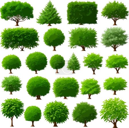Ilustración de Impresionantes árboles forestales arbustos plantas vector de arte. Ilustración vectorial - Imagen libre de derechos