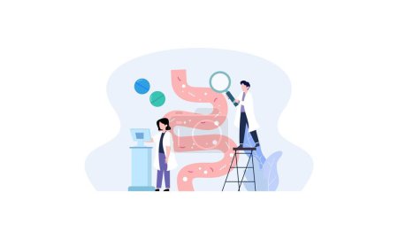 Illustration for Tiny doctors examining gut flora, vector illustration - Royalty Free Image