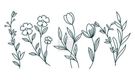 Téléchargez les illustrations : Élément ornemental floral pack vecteur - en licence libre de droit