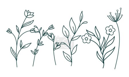 Illustration for Floral ornamental element pack vector - Royalty Free Image