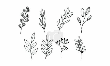 Illustration for Floral ornamental element pack vector - Royalty Free Image