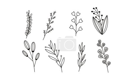 Ilustración de Vector elemento ornamental floral paquete - Imagen libre de derechos