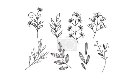 Ilustración de Vector elemento ornamental floral paquete - Imagen libre de derechos