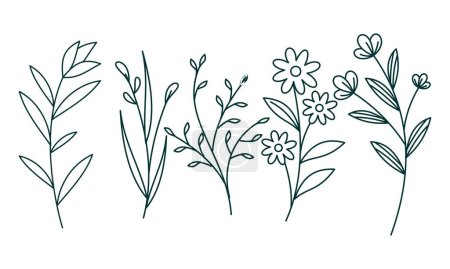 Téléchargez les illustrations : Élément ornemental floral pack vecteur - en licence libre de droit
