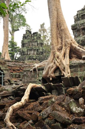 Image frappante des ruines du temple Angkor Wat à Siem Reap, Cambodge, entourées d'arbres majestueux et de blocs de pierre éparpillés.