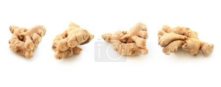 Photo for Fresh ginger root, a set of different sides of the same object, isolated on white background. Tropical plant part, a spice, folk medicine, healthy food, cooking ingredient medical product. - Royalty Free Image
