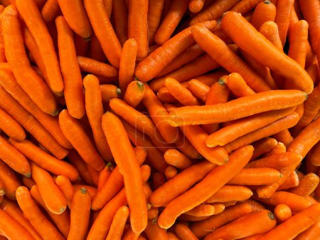 Photo for A pile of carrots for sale, close-up as a background. Lots of carrots on the farmer's market stand. Local harvest, organic products at Laiki Agora on the streets of Athens, Greece. - Royalty Free Image