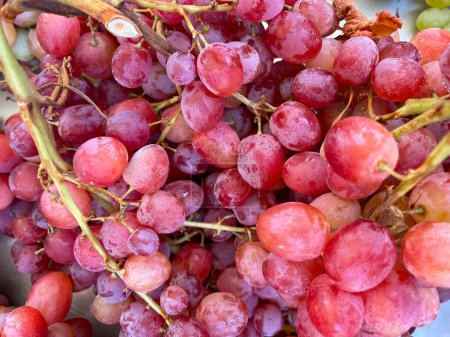 A bunch of red grapes sold in supermarkets. Grape fruits are rich in vitamins and minerals. At a farmers market in Greece. Healthy food.