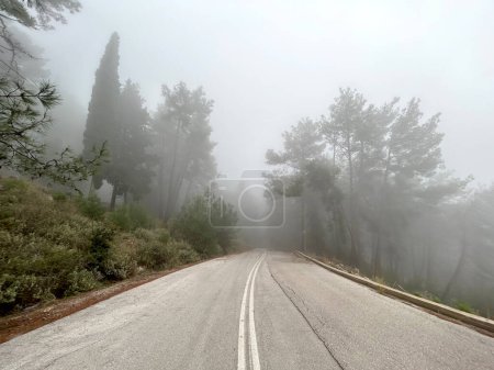 Bäume mit Nebel im Wald mit einer Straße. Nebel in Griechenland Winter in Griechenland. Verschwommene Waldsilhouette Schwarz-Weiß-Abstrakt