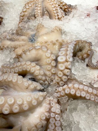 Freshly caught octopus in a box of ice at a farmers market in Greece. Seafood. Healthy sea food. Sea delicacies. Fresh seafood. Octopus tentacles on ice.