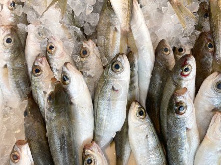 Frischer Meeresfisch auf der Theke. Frisch gefangener Fisch mit Eis auf einem Bauernmarkt in Griechenland. Meeresfrüchte. Gesunde Meeresfrüchte. Meeresdelikatessen. Frische Meeresfrüchte.