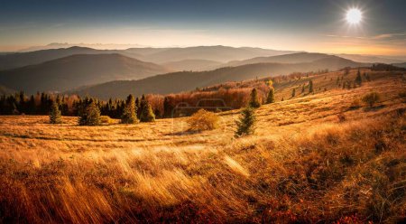 Téléchargez les photos : Paix, tranquillité, montagnes Beskids, Pologne. - en image libre de droit