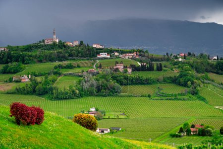 Région de Conegliano Valdobbiadene, Italie. Région du nord de l'Italie. Le célèbre vin mousseux Prosecco est fabriqué sur ces collines