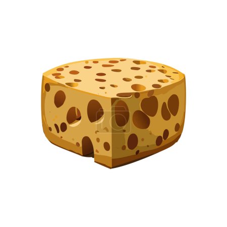 Cheese vector illustration on white background