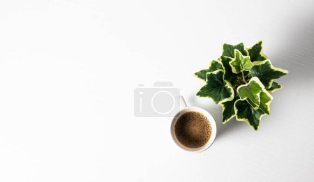 Téléchargez les photos : Coffee and plant on white background - en image libre de droit