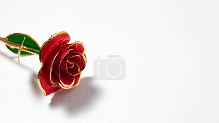 Foto de Rosa roja sobre fondo blanco - Imagen libre de derechos