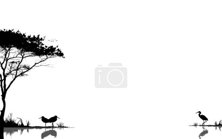 Zone humide Rivière Lac paysage silhouette arrière-plan vectoriel illustration oiseaux volant réflexion de l'eau beau paysage arrière-plan toile couverture bannière