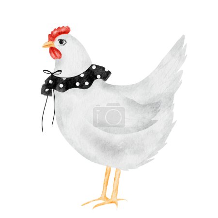 Foto de Dibujos animados de dibujo de acuarela de pollo blanco. Ilustración de una gallina madre con un collar vintage. Lindo pájaro sin fondo. Para tarjetas educativas para niños e impresión textil - Imagen libre de derechos