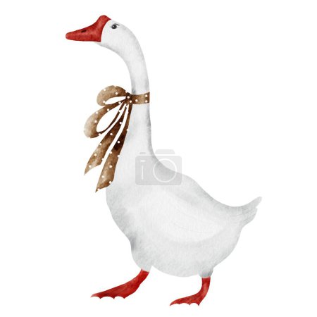 Foto de Dibujo en acuarela de un ganso vintage con un lazo marrón. Lindo pájaro elegante sobre un fondo blanco aislado. Para postales y pegatinas - Imagen libre de derechos