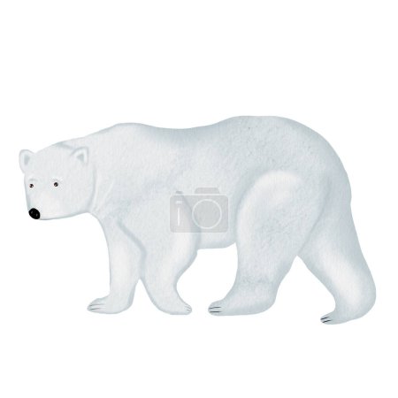 Foto de Oso polar acuarela dibujo aislar sobre un fondo blanco. Lindo oso de peluche para el diseño de tarjetas para niños y postales. Foto de alta calidad - Imagen libre de derechos