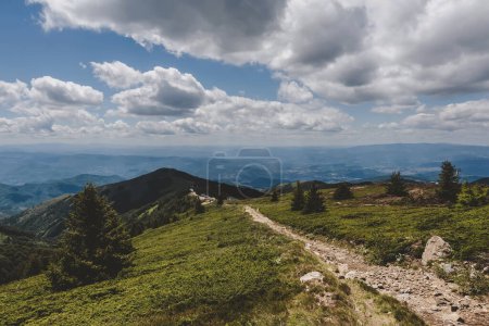 Téléchargez les photos : Paysage de montagne avec sentier de randonnée dans le parc national Kopaonik, réserve naturelle en Serbie. Vue panoramique sur les collines verdoyantes, les pentes boisées et la forêt dense de conifères sous un ciel nuageux bleu. - en image libre de droit