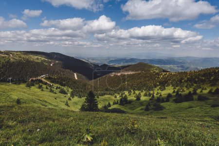 Téléchargez les photos : Paysage montagneux estival dans le parc national Kopaonik, réserve naturelle en Serbie. Vue panoramique sur les collines verdoyantes, les pentes boisées et la forêt dense de conifères sous un ciel nuageux bleu. - en image libre de droit