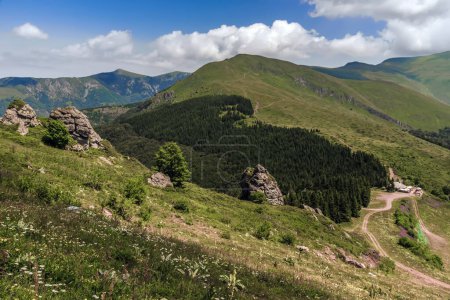 Téléchargez les photos : Paysage montagneux dans le parc national de la Vieille Montagne, réserve naturelle en Serbie et Bulgarie. Vue panoramique sur les collines verdoyantes avec des sentiers de randonnée, des pentes boisées et une forêt de conifères par une journée ensoleillée d'été. - en image libre de droit