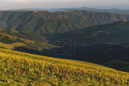 Téléchargez les photos : Paysage avec prairie de montagne, collines verdoyantes et rochers en lumière du soir dorée. Scène naturelle dans le parc national de la Vieille Montagne, réserve naturelle entre la Serbie et la Bulgarie. - en image libre de droit