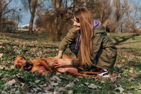 Photo for Young woman petting dog while lying on ground in park. Hungarian vizsla with ball in mouth lying in grass getting belly rubs from girl in casual outfit. Happy female with dog enjoying walk outdoors. - Royalty Free Image