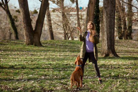 Photo for Young woman playing ball with hungarian pointer dog in park. Happy girl throwing rubber ball for puppy at park. Playful time with pet. Female owner and her vizsla with spend time together outdoors. - Royalty Free Image