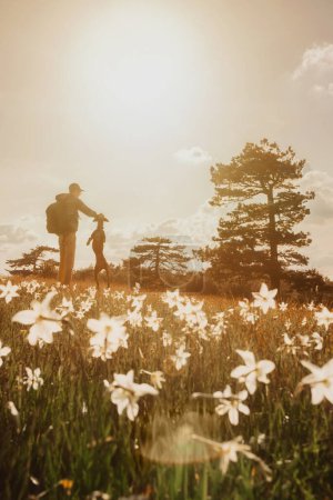 Photo for Silhouettes of man and dog at sunset in wild narcissus meadow bloom. Male backpacker playing with Hungarian vizsla on yellow daffodils field in golden evening light. Active travel with pets concept. - Royalty Free Image