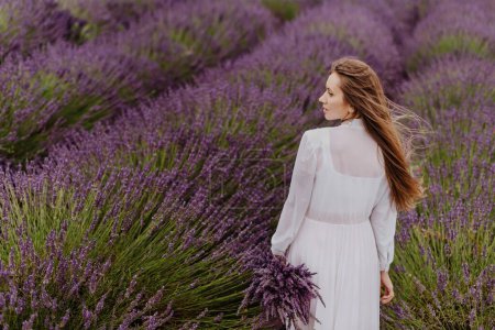 Photo for Young woman with bouquet in blooming lavender field. Female in white dress in fragrant lavender fields with endless rows. Half turned girl walking through bushes of lavender purple aromatic flowers. - Royalty Free Image