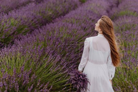 Photo for Young woman with bouquet in blooming lavender field. Female in white dress in fragrant lavender fields with endless rows. Back view of girl walking through bushes of lavender purple aromatic flowers. - Royalty Free Image