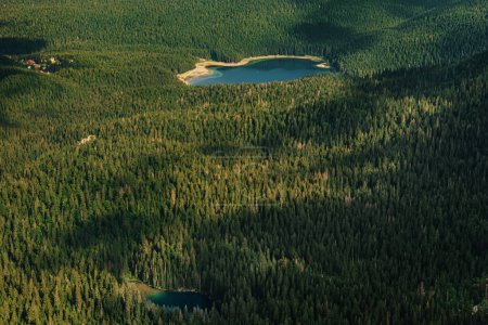 Téléchargez les photos : Vue aérienne du lac noir glaciaire et du lac Snake encadrés d'une forêt de conifères, situés dans le parc national de Durmitor, au Monténégro. Monuments naturels célèbres près de Zabljak, vue du sommet de Crvena Greda. - en image libre de droit