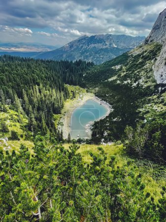 Téléchargez les photos : Vue aérienne du lac Jablan à Durmitor, Monténégro. Lac glaciaire entouré de forêts de conifères. Paysage montagneux estival avec lac - attraction naturelle et destination de randonnée des Alpes dinariques. - en image libre de droit