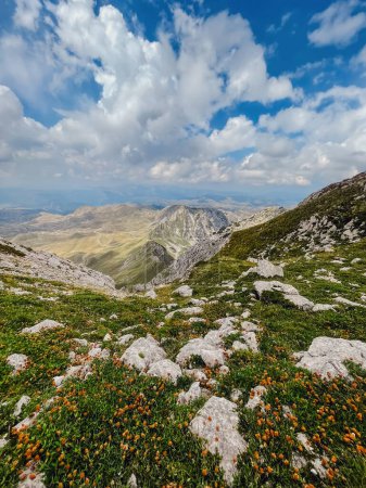 Foto de Paisaje montañoso de verano del Parque Nacional de Durmitor, Alpes Dináricos, Montenegro. Montañas y verde valle bajo el cielo dramático en el día soleado, vista desde la cumbre de Prutas, popular destino de senderismo. - Imagen libre de derechos