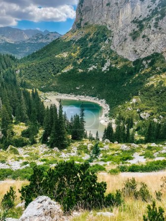 Foto de Vista superior del lago Jablan en Durmitor, Montenegro. Lago glacial rodeado de bosque de coníferas. Paisaje de montaña de verano con lago - atracción natural y destino de senderismo de los Alpes Dináricos. - Imagen libre de derechos
