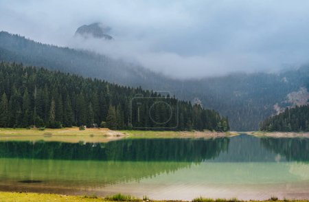 Photo for Early morning sunrise with dense fog over mountains and Black lake surrounded with coniferous forest in Durmitor, Montenegro. Landscape of mountain lake in foggy green forest reflecting in water. - Royalty Free Image