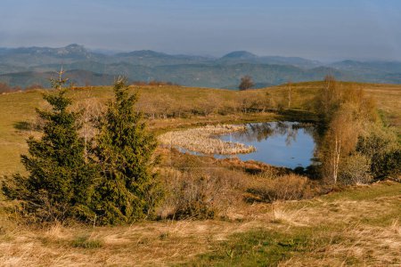 Photo for Tiny lake Nebeska Suza or Tear of Haven on Golija mountain, Serbia. Morning scenic landscape with natural lake Heavens teardrop, located at small, grass-covered picturesque plateau. - Royalty Free Image