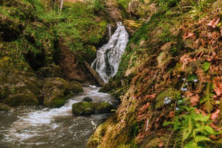 Izubra Cascadas en Parque Natural Golija. Paisaje con cascadas naturales en bosque mixto denso oculto. Monumento natural y destino de senderismo de Serbia. Ruta panorámica de trekking en los Balcanes.