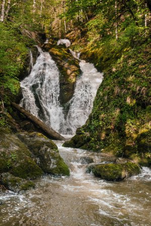 Izubra Cascadas en Parque Natural Golija. Cae sobre el río Izubra, afluente del río Studenica, rodeado de densos bosques mixtos. Monumento natural y destino de senderismo de Serbia.