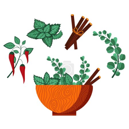 Illustration for Homeopathic plants wooden bowl with medical herbs, flowers and spices. Organic flu treatments and natural remedies. Respiratory health immunity recipe for fever and headache treatment. - Royalty Free Image