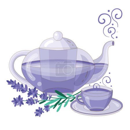 Illustration for Teapot and cup of detox tea with lavender flowers. Teacup with hot herbal drink and fresh lawanda blooming brunches. Hand-drawn concept illustration with healthy organic beverage in glass tea set. - Royalty Free Image