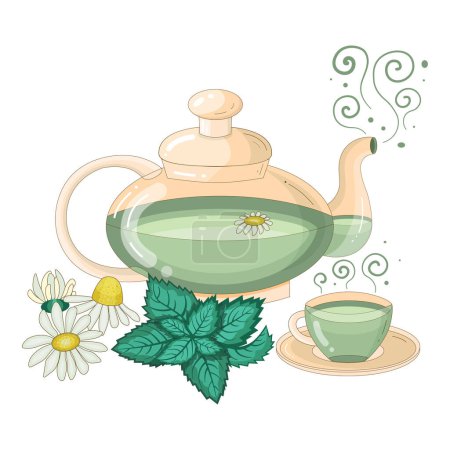 Illustration for Teapot and cup of tea with mint and camomile. Teacup with hot herbal drink, chamomile flowers and fresh peppermint leaves. Hand-drawn illustration with healthy organic beverage in ceramic tea set. - Royalty Free Image